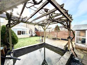 Pond- click for photo gallery